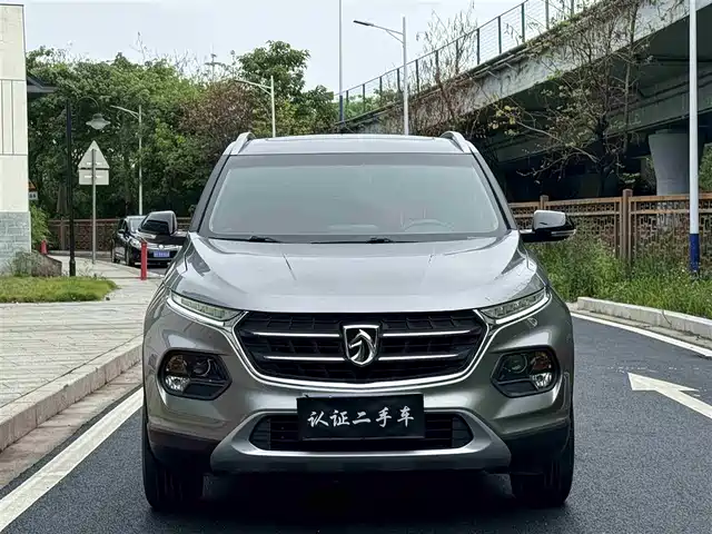 BAOJUN  510 2019