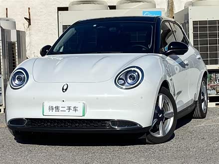 欧拉好猫 2021款 500km长续航 波塞冬版 三元锂