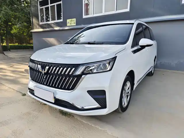 WULING AUTOMOBILE WULING JIACHEN 2023
