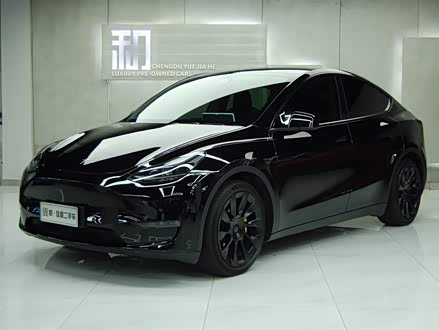 Model Y 2022款 后轮驱动版