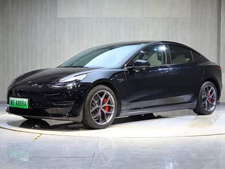Model 3 2021款 Performance高性能全轮驱动版