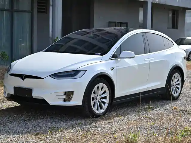 TESLA MODEL X 2019