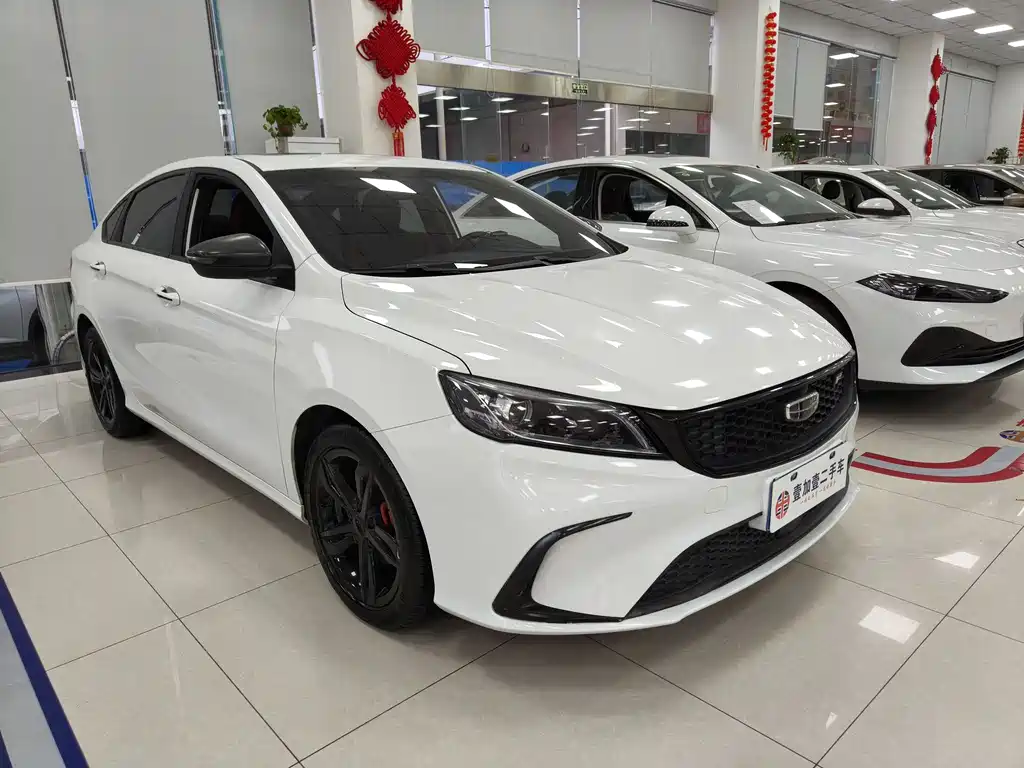 GEELY AUTOMOBILE BINRUI