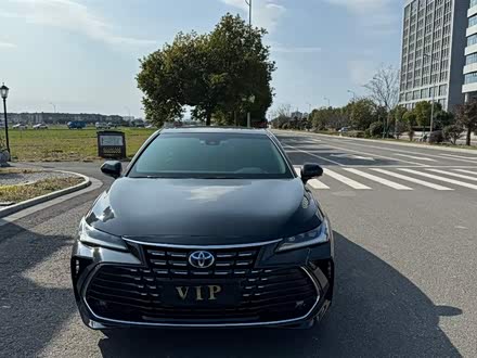 亚洲龙 2022款 2.5L 豪华版
