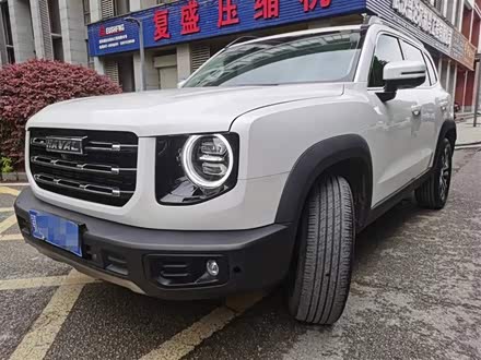 哈弗大狗 2021款 1.5T DCT两驱边牧版