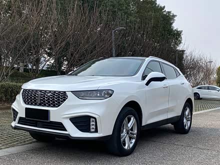 魏牌 VV5 2020款 1.5T 两驱潮先锋