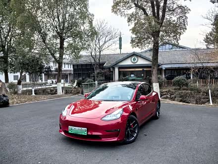 Model 3 2021款 Performance高性能全轮驱动版 3D6
