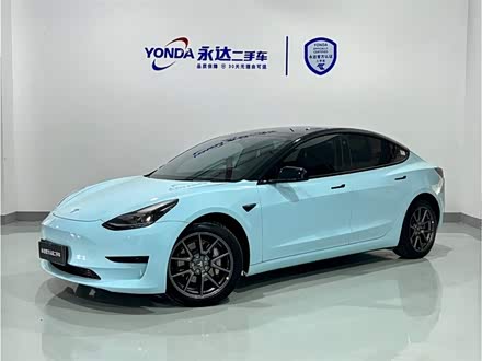 Model 3 2021款 标准续航后驱升级版 3D6