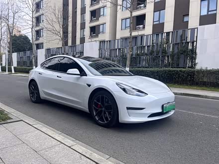 Model 3 2022款 Performance高性能全轮驱动版