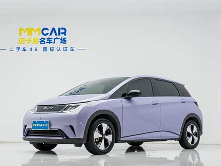 海豚 2023款 420km 自由版