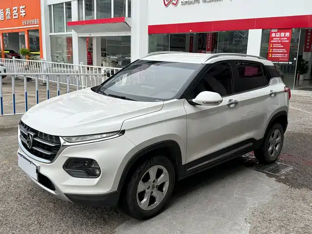 BAOJUN  510 2018
