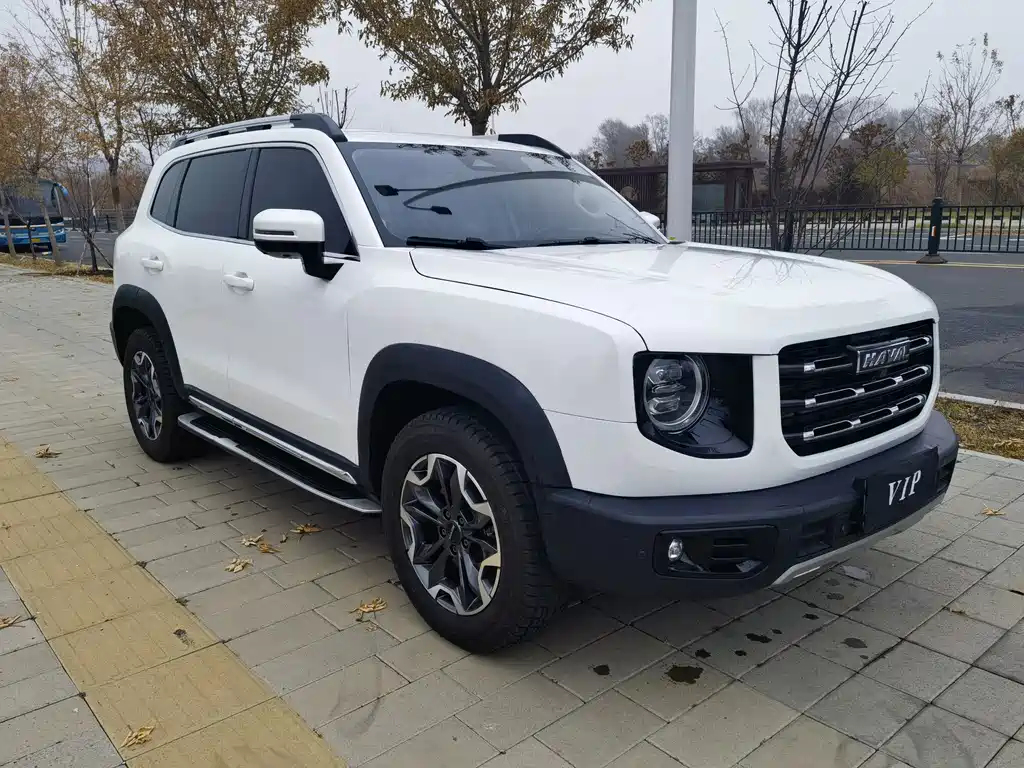 HAVAL BIG DOG