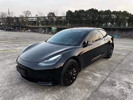 Model 3 2020款 长续航后轮驱动版