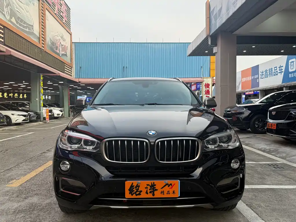 BMW X6