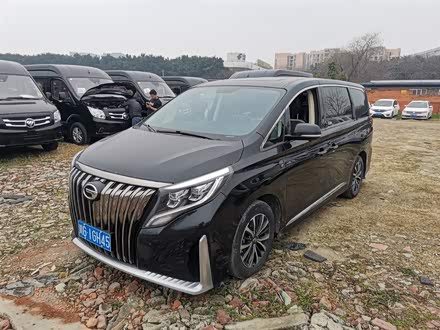 传祺M8 2021款 大师系列 390T 尊贵版