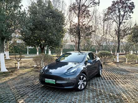 Model Y 2021款 长续航全轮驱动版