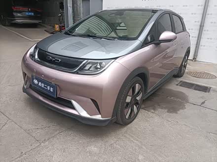 海豚 2021款 401km 骑士版