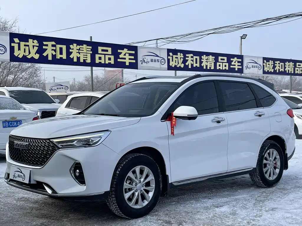 HAVAL M6