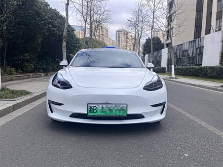 Model 3 2022款 Performance高性能全轮驱动版