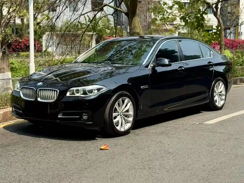 BMW 5 Series 2015