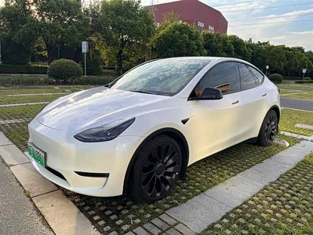Model Y 2022款 Performance高性能全轮驱动版