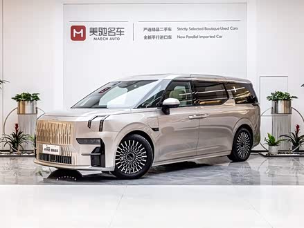 极氪009 2022款 WE版