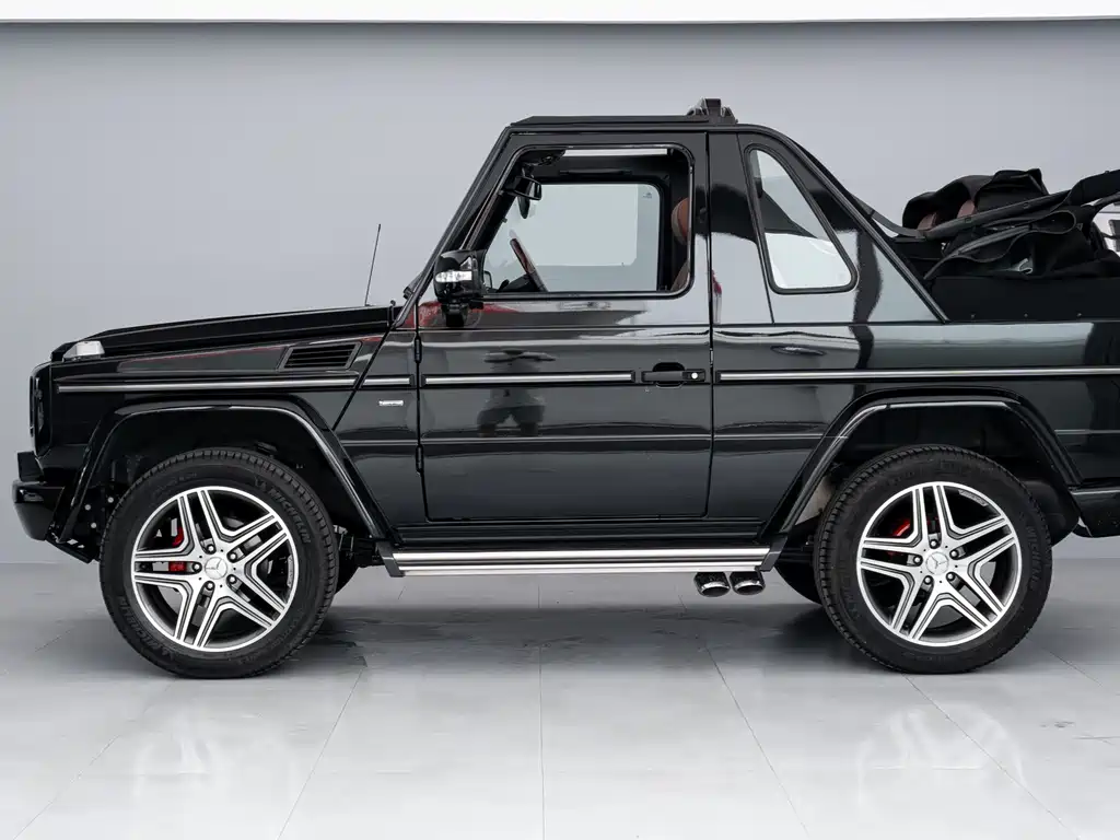 Mercedes-Benz G-Class G 2009 G 500
