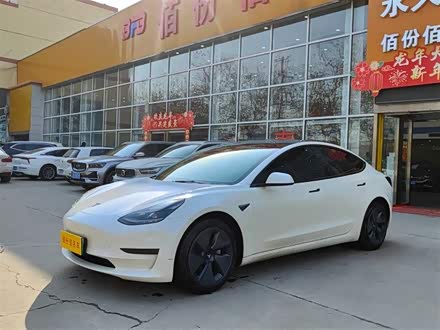 Model 3 2021款 标准续航后驱升级版 3D6