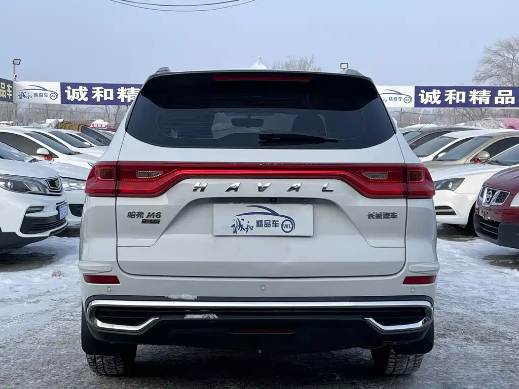 HAVAL M6