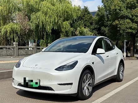 Model Y 2021款 长续航全轮驱动版