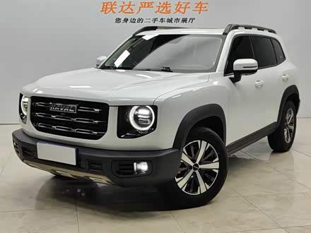 哈弗大狗 2021款 1.5T DCT两驱拉布拉多版