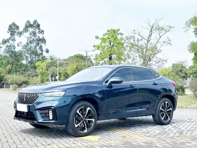 2020 Wey VV7