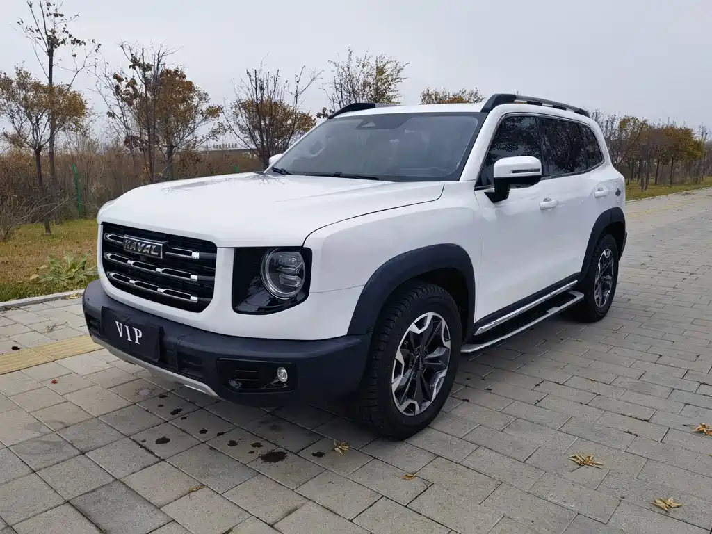 HAVAL BIG DOG