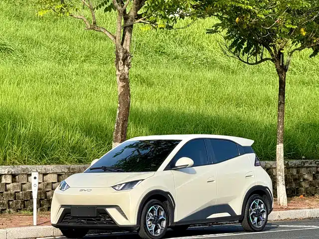 BYD SEAGULL 2024