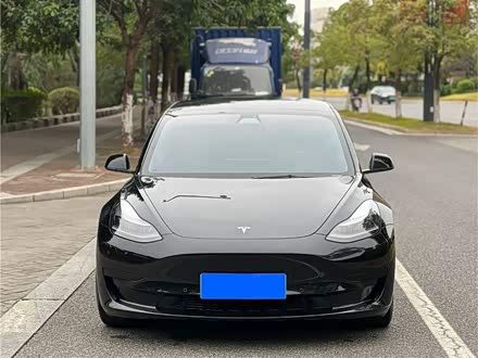Model 3 2021款 标准续航后驱升级版 3D6