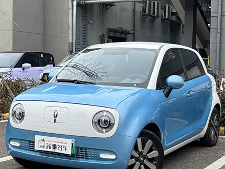 欧拉黑猫 2022款 351km 标准型 三元锂