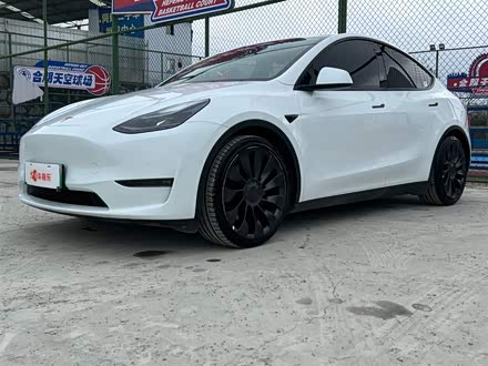 Model Y 2021款 Performance高性能全轮驱动版