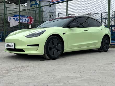 Model 3 2021款 标准续航后驱升级版 3D6