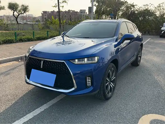 WEI PAI WEI BRAND P8 2019