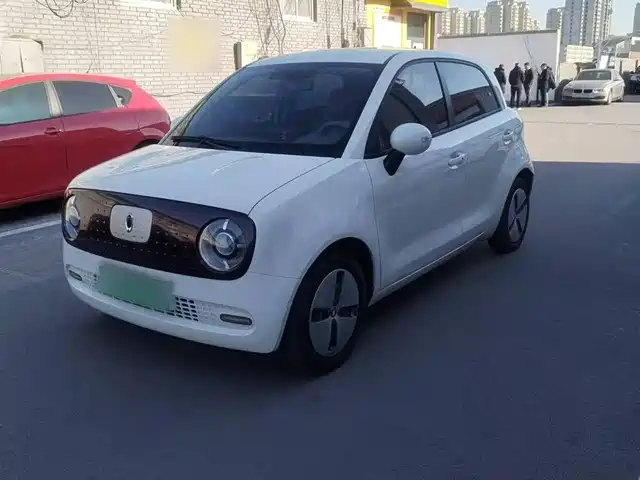 EULER  BLACK CAT 2018