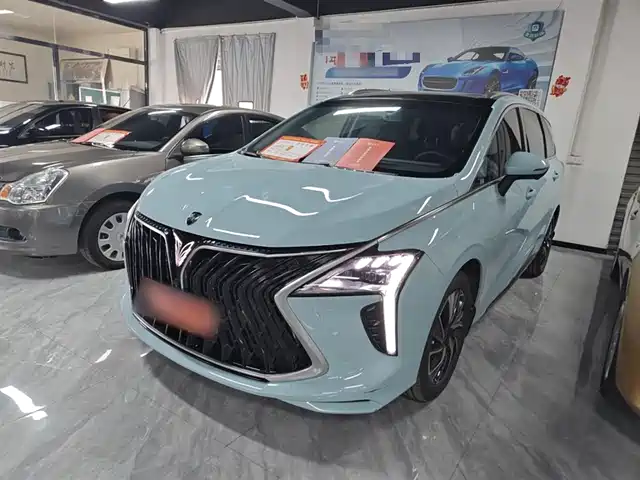 DONGFENG POPULAR YACHTS 2022