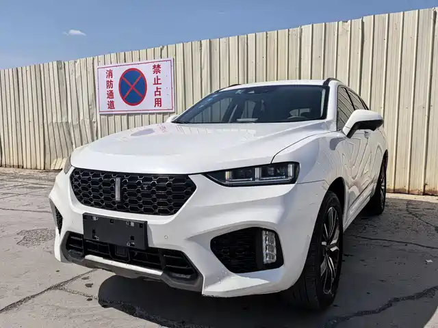 WEI PAI WEI BRAND VV7 2019