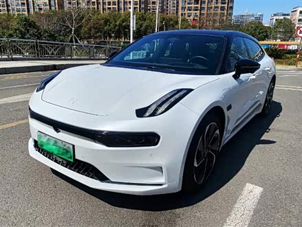 极氪001 2023款 WE版 100kWh