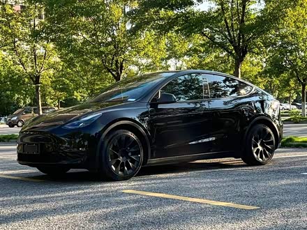 Model Y 2021款 标准续航后驱版