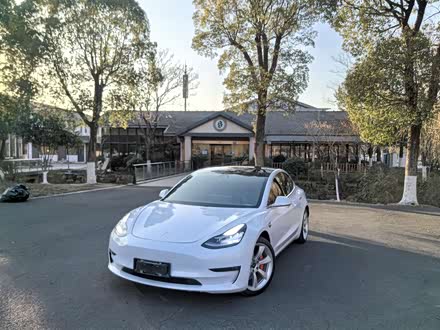 Model 3进口 2019款 Performance高性能全轮驱动版