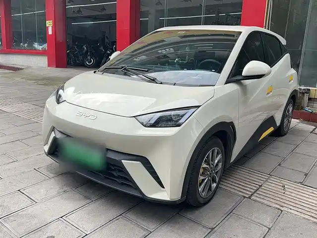 BYD SEAGULL 2024