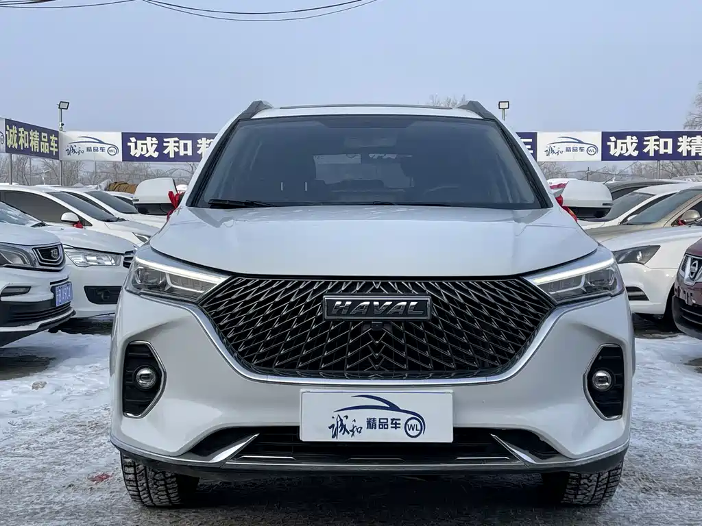 HAVAL M6