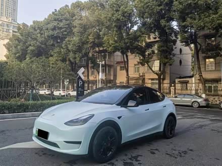 Model Y 2022款 后轮驱动版