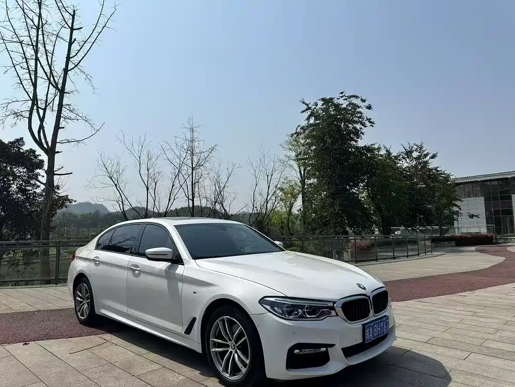 BMW 5 SERIES