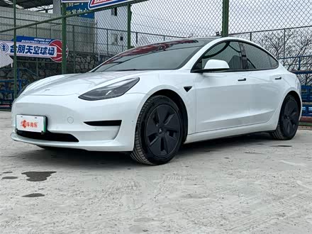 Model 3 2021款 标准续航后驱升级版